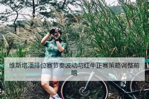 维斯塔潘排位赛节奏波动与红牛正赛策略调整前瞻 | WMSPORTS